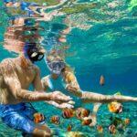 <a href='https://www.fodors.com/world/north-america/usa/hawaii/big-island/experiences/news/photos/18-ultimate-things-to-do-on-hawaiis-big-island#'>From &quot;25 Ultimate Things to Do on Hawaii’s Big Island: Snorkel in a Pristine Marine Life Conservation District&quot;</a>