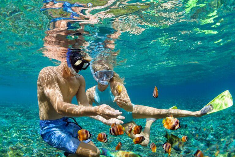 <a href='http://www.fodors.com/world/north-america/usa/hawaii/big-island/experiences/news/18-ultimate-things-to-do-on-hawaiis-big-island#'>From "25 Ultimate Things to Do on Hawaii’s Big Island: Snorkel in a Pristine Marine Life Conservation District"</a>