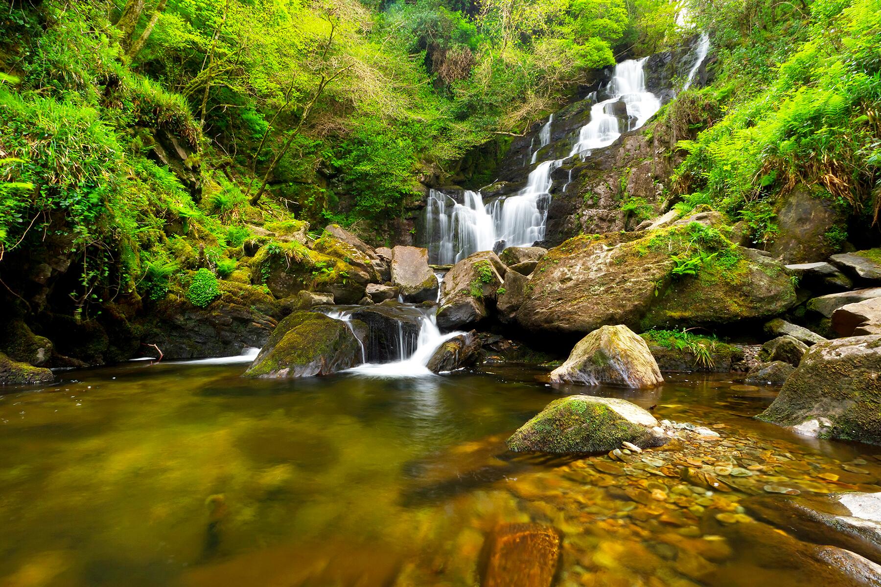 <a href='http://www.fodors.com/world/europe/ireland/experiences/news/ultimate-things-to-do-in-ireland#'>From "25 Ultimate Things to Do In Ireland: Visit Killarney National Park"</a>
