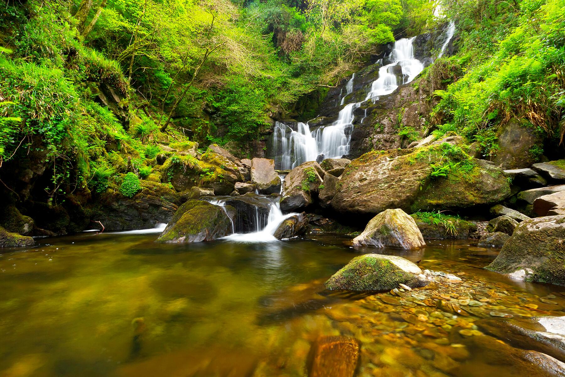 <a href='https://www.fodors.com/world/europe/ireland/experiences/news/photos/ultimate-things-to-do-in-ireland#'>From &quot;25 Ultimate Things to Do In Ireland: Visit Killarney National Park&quot;</a>