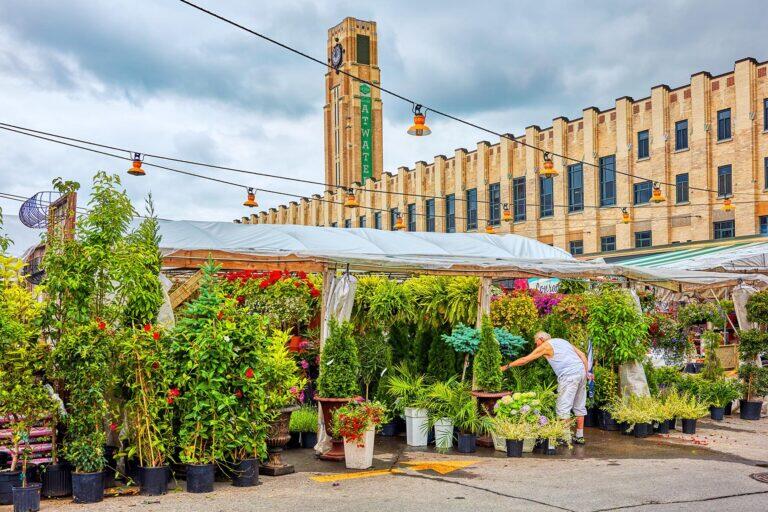 <a href='https://www.fodors.com/world/north-america/canada/quebec/montreal/experiences/news/photos/20-ultimate-things-to-do-in-montreal#'>From &quot;30 Ultimate Things to Do in Montreal: Peruse Atwater Market&quot;</a>