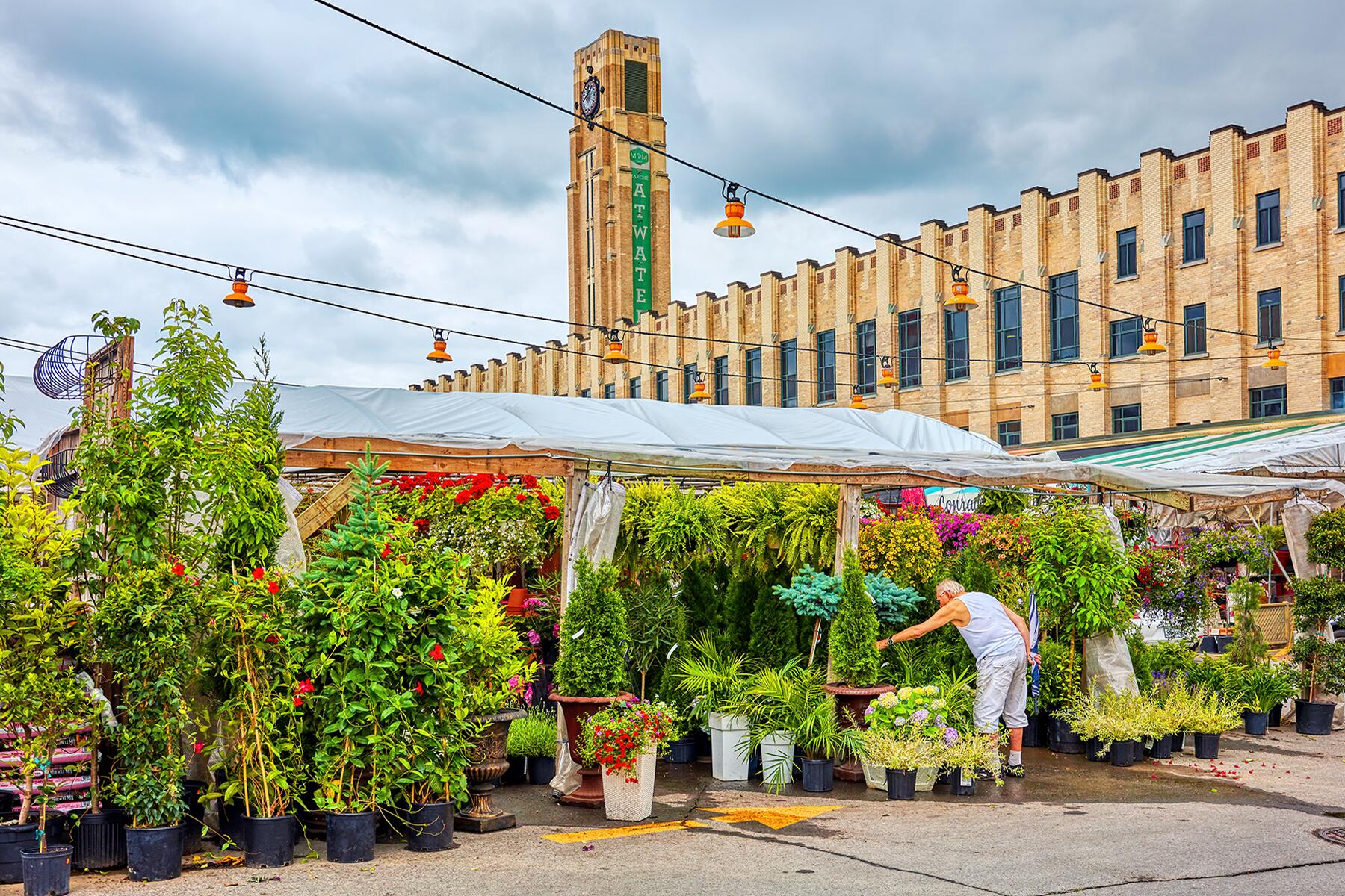 <a href='https://www.fodors.com/world/north-america/canada/quebec/montreal/experiences/news/photos/20-ultimate-things-to-do-in-montreal#'>From &quot;30 Ultimate Things to Do in Montreal: Peruse Atwater Market&quot;</a>