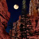 <a href='https://www.fodors.com/world/north-america/usa/utah/experiences/news/photos/ultimate-things-to-do-in-utah#'>From &quot;25 Ultimate Things to Do in Utah: Hike Bryce Canyon’s Hoodoos on a Full Moon Night&quot;</a>