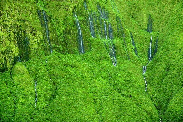 <a href='http://www.fodors.com/world/north-america/usa/hawaii/big-island/experiences/news/18-ultimate-things-to-do-on-hawaiis-big-island#'>From "25 Ultimate Things to Do on Hawaii’s Big Island: Hover by Helicopter Along a Sheer 3,000-Foot Valley Wall"</a>