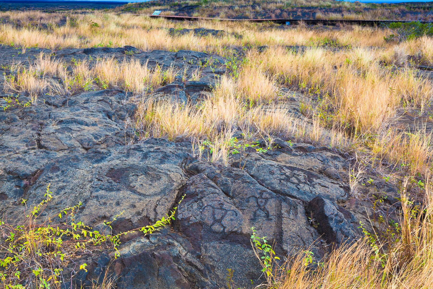 <a href='https://www.fodors.com/world/north-america/usa/hawaii/experiences/news/photos/cant-miss-historical-sites-to-visit-in-hawaii#'>From &quot;11 Fascinating Historical Sites in Hawaii That Go Beyond Pearl Harbor: Pu'uloa Petroglyphs&quot;</a>