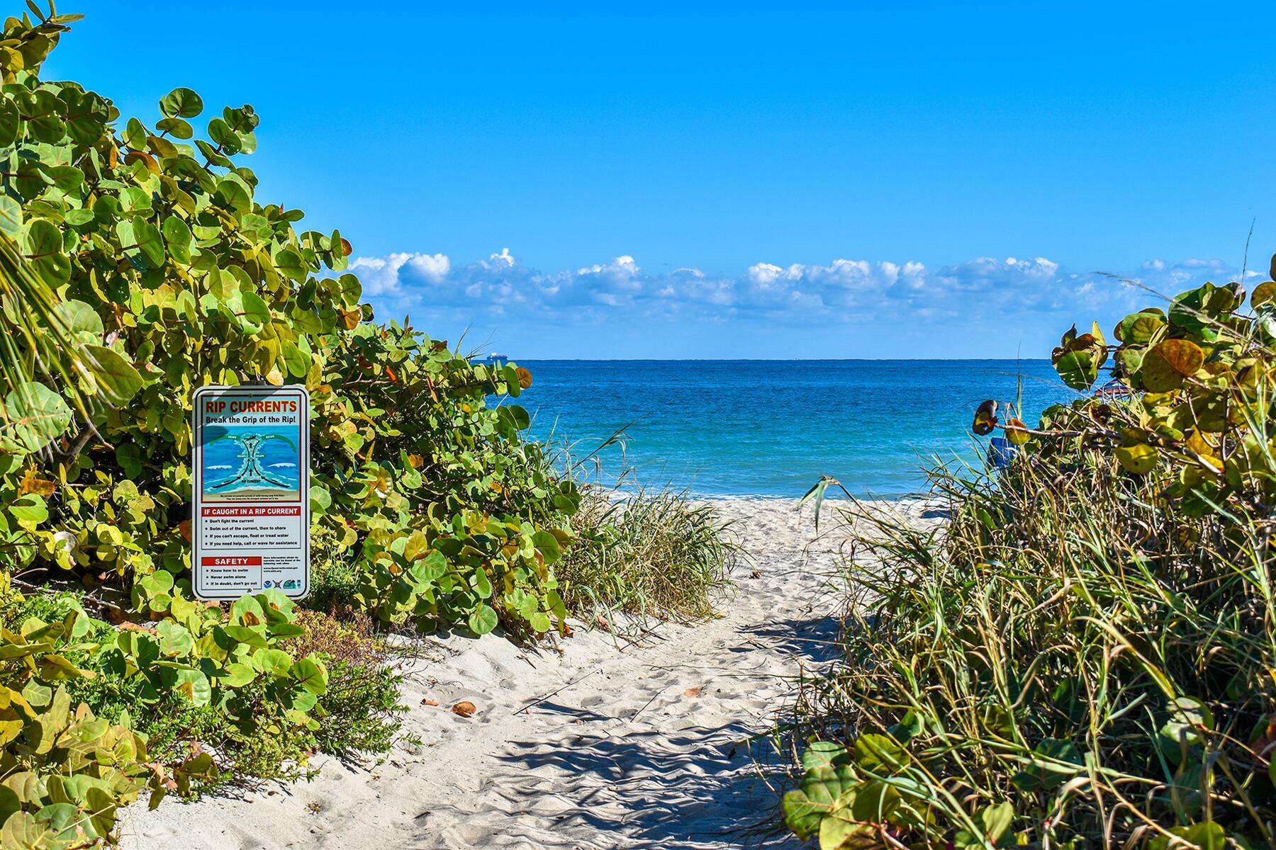 <a href='https://www.fodors.com/world/north-america/usa/florida/miami/experiences/news/photos/the-10-best-beaches-in-miami#'>From &quot;The 12 Best Beaches in Miami: Best Natural Beach Near Miami: Von D. Mizell-Eula Johnson State Park&quot;</a>