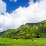 <a href='https://www.fodors.com/world/north-america/usa/hawaii/oahu/experiences/news/photos/25-ultimate-things-to-do-on-oahu#'>From &quot;35 Ultimate Things to Do in Oahu, Hawaii: Get Your Hands Dirty on a Farm Tour &quot;</a>
