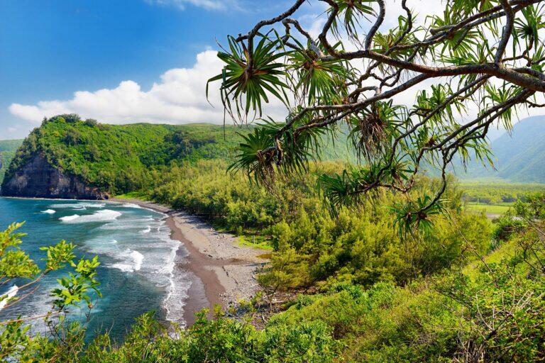 <a href='http://www.fodors.com/world/north-america/usa/hawaii/big-island/experiences/news/18-ultimate-things-to-do-on-hawaiis-big-island#'>From "25 Ultimate Things to Do on Hawaii’s Big Island: Spend the Day at Pololu Valley’s Black Sand Beach "</a>