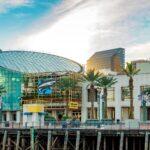 <a href='https://www.fodors.com/world/north-america/usa/louisiana/new-orleans/experiences/news/photos/ultimate-things-to-do-in-new-orleans#'>From &quot;25 Ultimate Things to Do in New Orleans: Admire the Aquarium of the Americas&quot;</a>