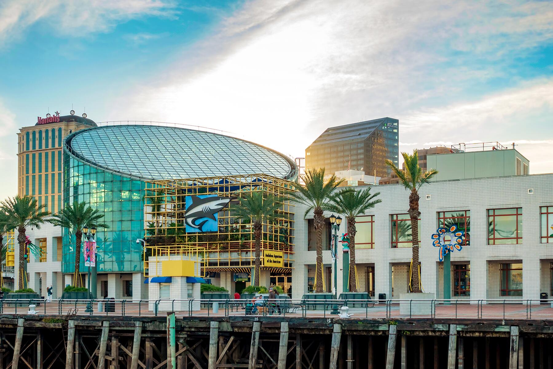 <a href='https://www.fodors.com/world/north-america/usa/louisiana/new-orleans/experiences/news/photos/ultimate-things-to-do-in-new-orleans#'>From &quot;25 Ultimate Things to Do in New Orleans: Admire the Aquarium of the Americas&quot;</a>