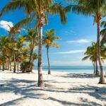 <a href='https://www.fodors.com/world/north-america/usa/florida/miami/experiences/news/photos/the-10-best-beaches-in-miami#'>From &quot;The 12 Best Beaches in Miami: Best Beach in Miami for Kitesurfers (or Couples): Crandon Park &quot;</a>