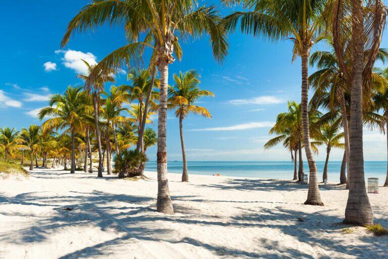 <a href='https://www.fodors.com/world/north-america/usa/florida/miami/experiences/news/photos/the-10-best-beaches-in-miami#'>From &quot;The 12 Best Beaches in Miami: Best Beach in Miami for Kitesurfers (or Couples): Crandon Park &quot;</a>