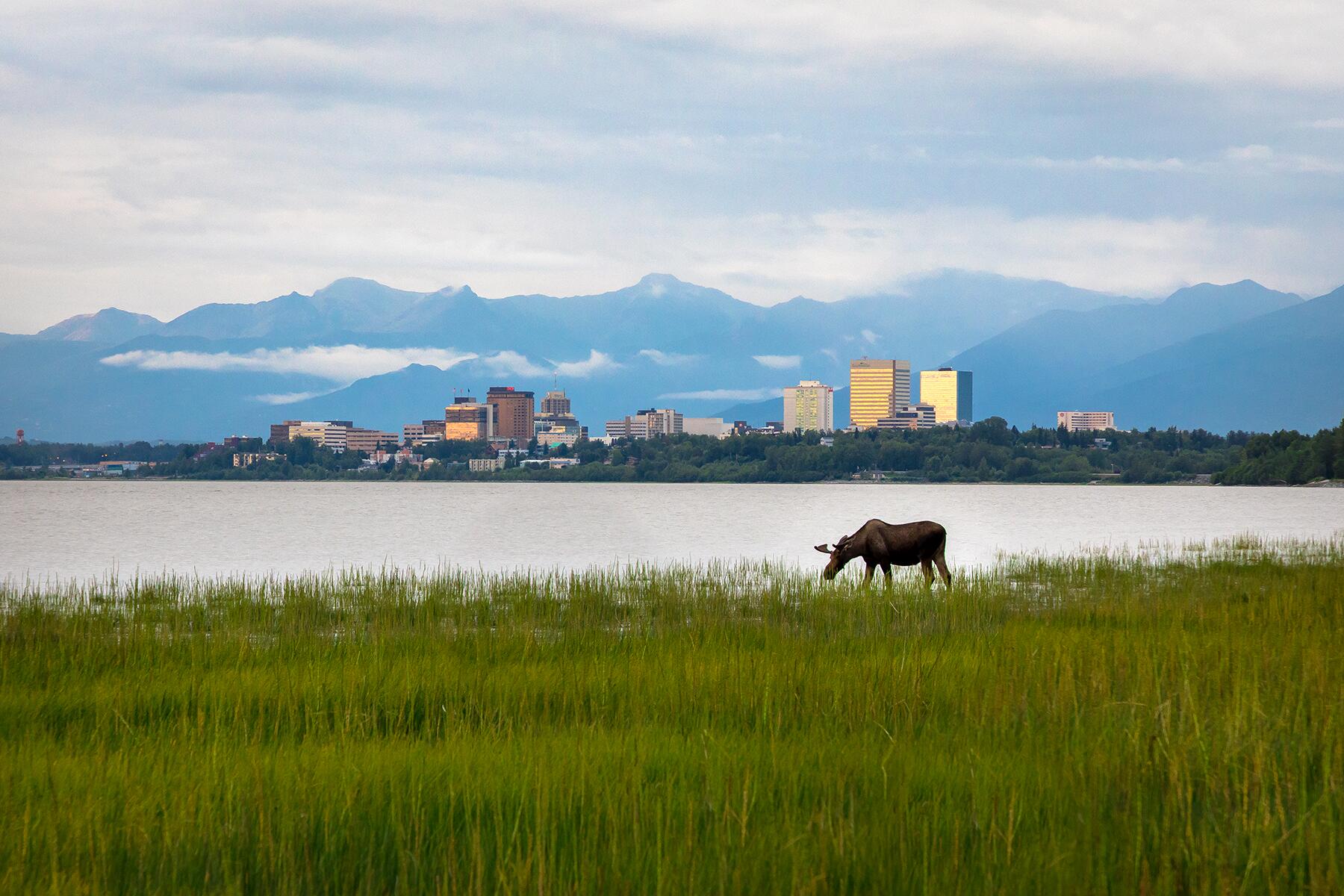 <a href='https://www.fodors.com/world/north-america/usa/alaska/experiences/news/photos/ultimate-things-to-do-in-alaska#'>From &quot;25 Ultimate Things to Do in Alaska: Get a Better Understanding of Alaska’s Quirky Capitol&quot;</a>