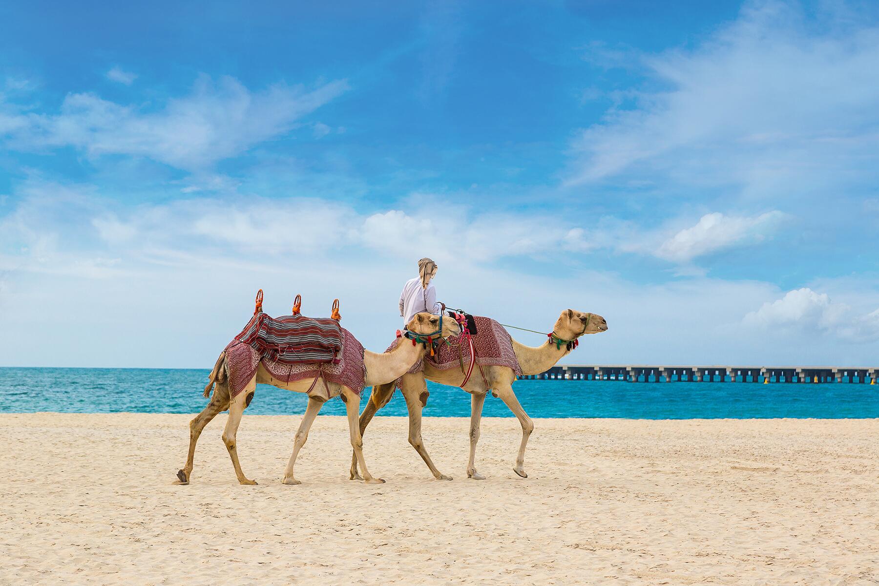 <a href=https://www.fodors.com/world/africa-and-middle-east/united-arab-emirates/dubai/gallery/'https://www.fodors.com/world/africa-and-middle-east/united-arab-emirates/dubai/experiences/news/photos/how-to-spend-a-long-layover-in-dubai#'>From "Stuck in Dubai? Here’s How to Spend a Long Layover in the ‘City of Gold’: Go on a Desert Tour"</a>