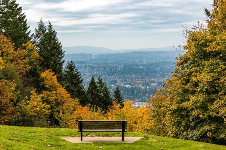 <a href='https://www.fodors.com/world/north-america/usa/oregon/portland/experiences/news/photos/top-things-to-do-in-portland-oregon#'>From &quot;20 Ultimate Things to Do in Portland: The Best Views of the City&quot;</a>