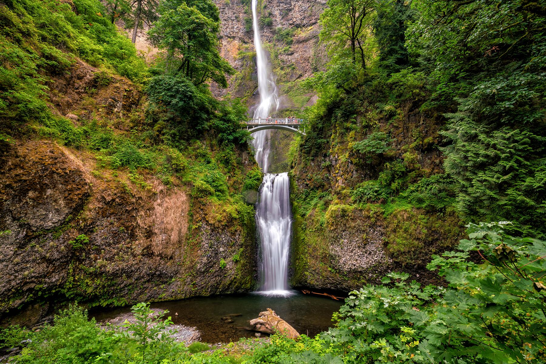 <a href='https://www.fodors.com/world/north-america/usa/oregon/portland/experiences/news/photos/top-things-to-do-in-portland-oregon#'>From &quot;20 Ultimate Things to Do in Portland: Take a Hike in Forest Park&quot;</a>