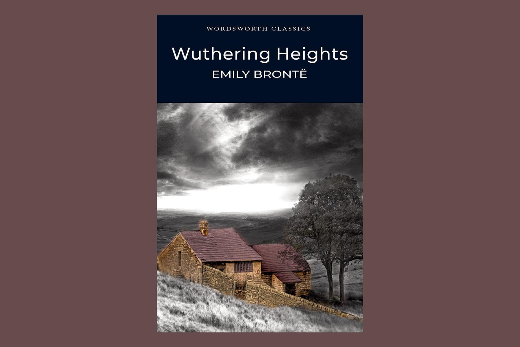 <a href='https://www.fodors.com/world/europe/england/experiences/news/photos/what-tea-to-drink-with-british-classic-literature#'>From &quot;Teas to Pair With Your Favorite British Classics: 'Wuthering Heights' by Emily Brontë&quot;</a>