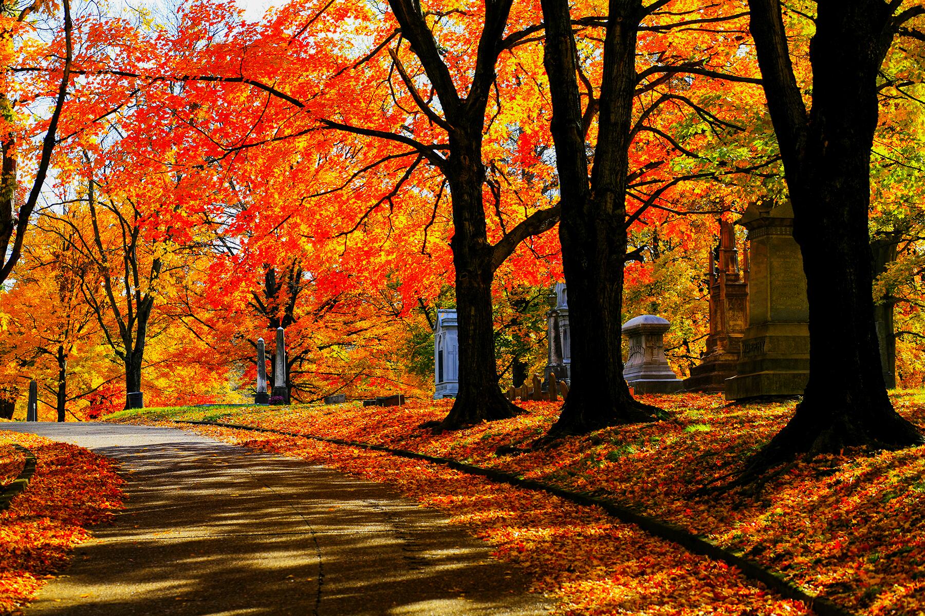 Where to See the Best Fall Leaves in the U.S.