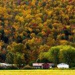 <a href='https://www.fodors.com/world/north-america/usa/new-york/new-york-city/experiences/news/photos/the-best-fall-day-trips-from-new-york-city#'>From &quot;The 10 Best Fall Day Trips From New York City: Catskills&quot;</a>