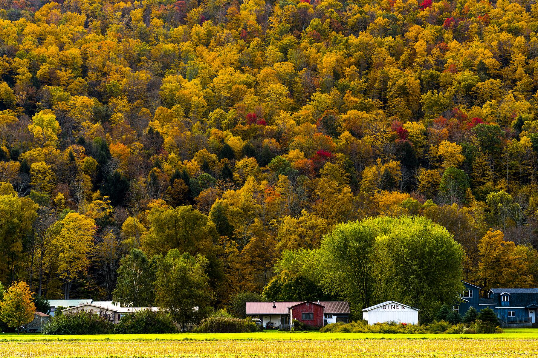 <a href='https://www.fodors.com/world/north-america/usa/new-york/new-york-city/experiences/news/photos/the-best-fall-day-trips-from-new-york-city#'>From &quot;The 10 Best Fall Day Trips From New York City: Catskills&quot;</a>