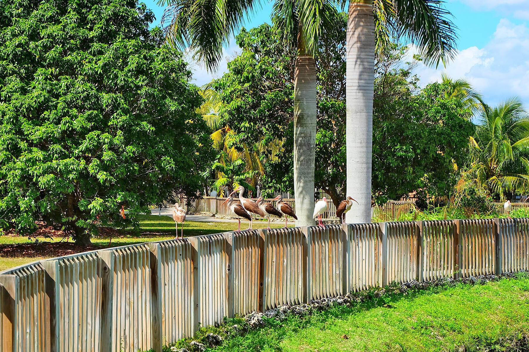 Florida’s Fruit and Spice Park Is Unlike Anything Found Across the United States