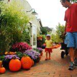 <a href='https://www.fodors.com/world/north-america/usa/rhode-island/experiences/news/photos/10-reasons-we-love-rhode-island-in-the-fall#'>From &quot;10 Reasons This Is the Best State in the U.S. to Celebrate Fall: Pumpkin Picking&quot;</a>