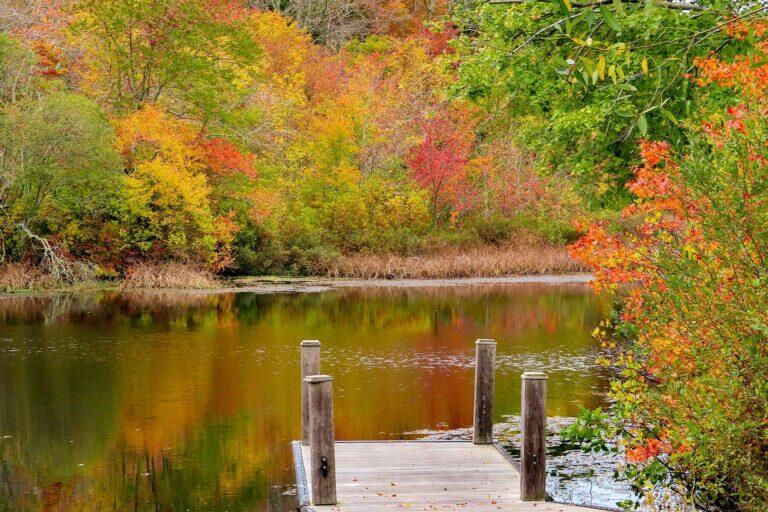 <a href='https://www.fodors.com/world/north-america/usa/new-york/new-york-city/experiences/news/photos/the-best-fall-day-trips-from-new-york-city#'>From &quot;The 10 Best Fall Day Trips From New York City: Peconic&quot;</a>
