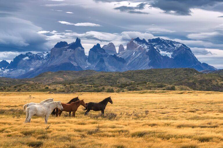 <a href='https://www.fodors.com/go-list/2023/south-america#torres-del-paine-national-park'>Fodor’s Go List 2023: Torres del Paine National Park, Chile</a>