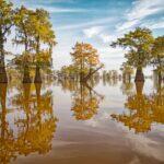 <a href='https://www.fodors.com/go-list/2023/usa-canada#atchafalaya-basin'>Fodor’s Go List 2023: Atchafalaya Basin, Louisiana</a>