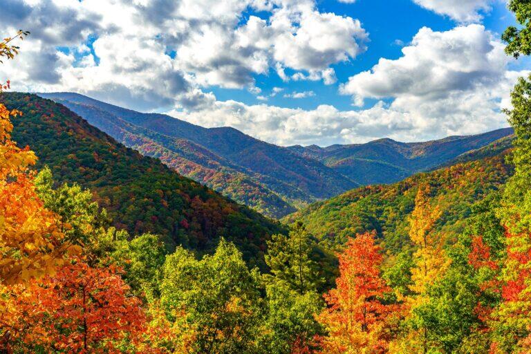 <a href='https://www.fodors.com/world/north-america/usa/west-virginia/experiences/news/photos/one-of-the-best-u-s-states-for-a-fall-vacation-is-west-virginia#'>From &quot;Guess Which State Is Perfect for a Fall Getaway. And It's NOT in the Northeast&quot;</a>