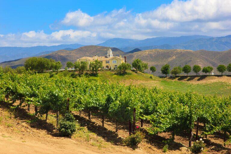 <a href='https://www.fodors.com/world/north-america/usa/california/experiences/news/photos/the-best-fall-day-trips-to-take-from-los-angeles#'>From &quot;12 Easy Fall Day Trips to Take From Los Angeles: Temecula&quot;</a>
