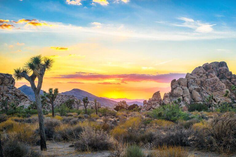 <a href='https://www.fodors.com/world/north-america/usa/california/experiences/news/photos/the-best-fall-day-trips-to-take-from-los-angeles#'>From &quot;12 Easy Fall Day Trips to Take From Los Angeles: Joshua Tree&quot;</a>