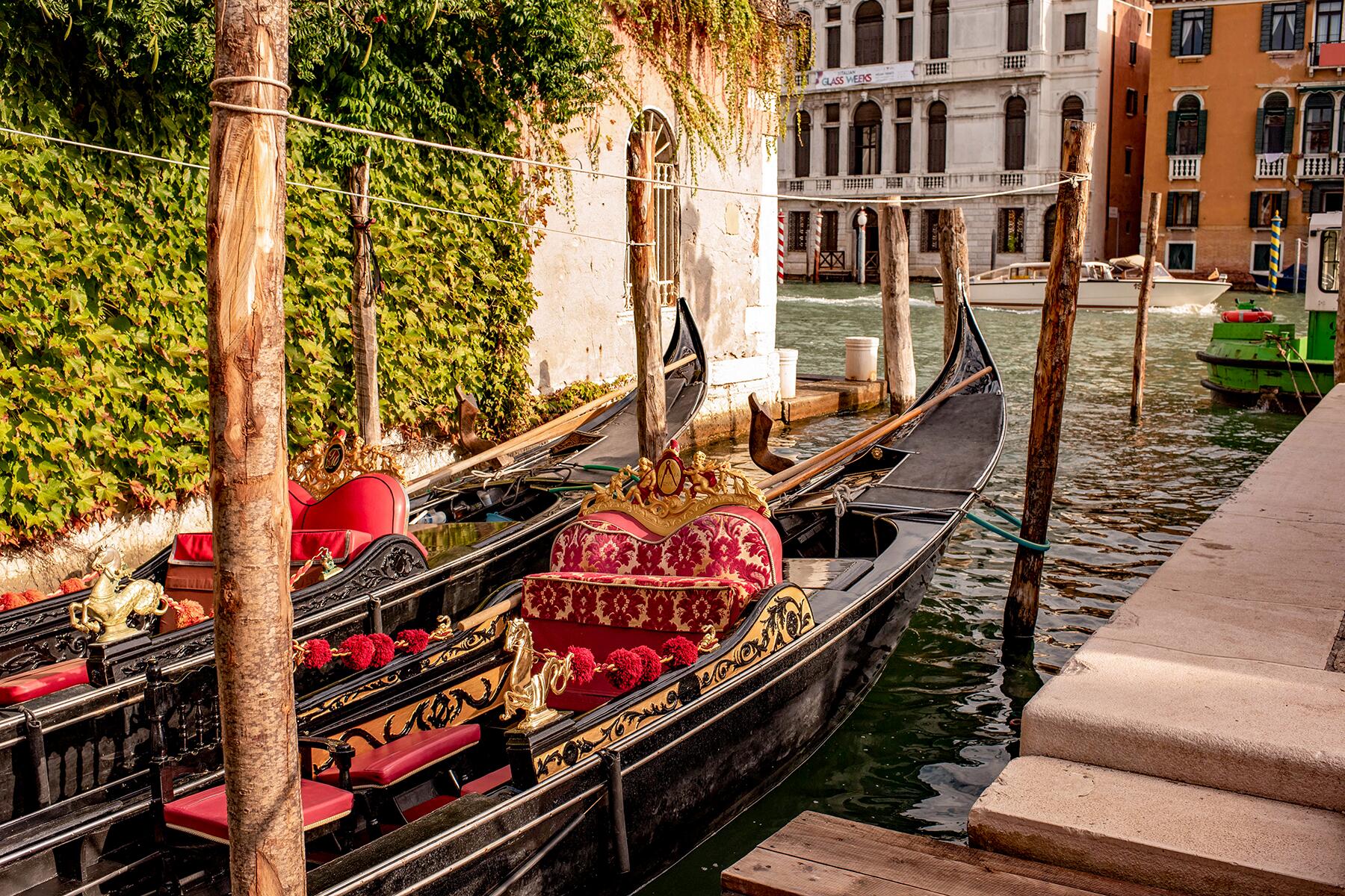 <a href='https://www.fodors.com/world/europe/italy/venice/experiences/news/photos/should-you-take-a-gondola-ride-in-venice#'>From &quot;Is a Venetian Gondola Ride a Giant Waste of Money?&quot;</a>