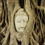 <a href='https://www.fodors.com/go-list/2023/asia#ayutthaya'>Fodor’s Go List 2023: Ayutthaya, Thailand</a>