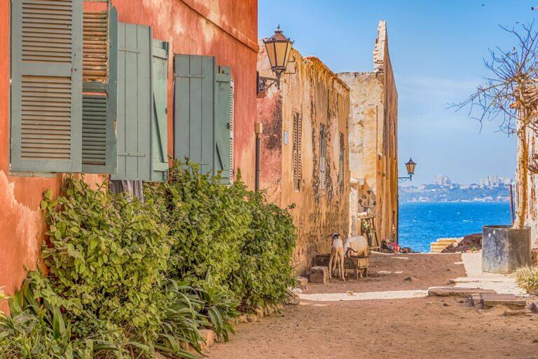 <a href='https://www.fodors.com/go-list/2023/africa-middle-east#goree'>Fodor’s Go List 2023: Gorée, Senegal</a>