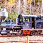 <a href='https://www.fodors.com/world/asia/japan/experiences/news/photos/the-best-railway-train-trips-in-japan#'>From &quot;9 Whimsical and Wonderful Train Journeys Through Japan: Akasawa Forest Railway&quot;</a>