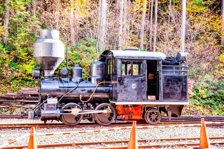 <a href='https://www.fodors.com/world/asia/japan/experiences/news/photos/the-best-railway-train-trips-in-japan#'>From &quot;9 Whimsical and Wonderful Train Journeys Through Japan: Akasawa Forest Railway&quot;</a>