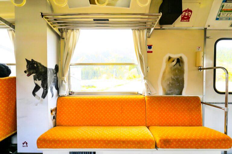 <a href='https://www.fodors.com/world/asia/japan/experiences/news/photos/the-best-railway-train-trips-in-japan#'>From &quot;9 Whimsical and Wonderful Train Journeys Through Japan: Akita Nairiku Line&quot;</a>