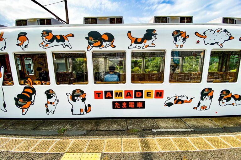 <a href='https://www.fodors.com/world/asia/japan/experiences/news/photos/the-best-railway-train-trips-in-japan#'>From &quot;9 Whimsical and Wonderful Train Journeys Through Japan: Wakayama Electric Railway Kishigawa Line&quot;</a>