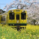 <a href='https://www.fodors.com/world/asia/japan/experiences/news/photos/the-best-railway-train-trips-in-japan#'>From &quot;9 Whimsical and Wonderful Train Journeys Through Japan&quot;</a>