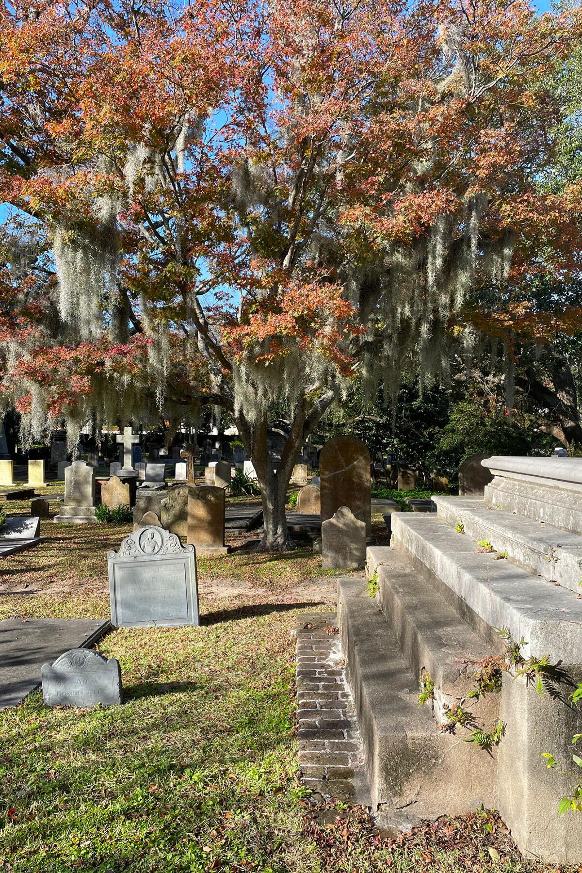 Rachael Levitt_Charleston_Cemetery