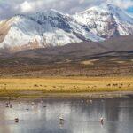 <a href='https://www.fodors.com/world/south-america/chile/experiences/news/photos/ultimate-things-to-do-in-chile#'>From &quot;25 Best Things to Do in Chile: Follow the Flamingoes at Lauca National Park&quot;</a>
