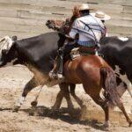 <a href='https://www.fodors.com/world/south-america/chile/experiences/news/photos/ultimate-things-to-do-in-chile#'>From &quot;25 Best Things to Do in Chile: Experience Rodeo as a Team Sport with the Huasos &quot;</a>