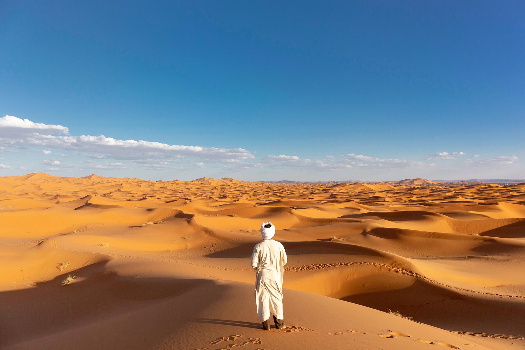 <a href='https://www.fodors.com/world/africa-and-middle-east/morocco/experiences/news/photos/18-ultimate-things-to-do-in-morocco#'>From &quot;23 Best Things to Do in Morocco: Hunt for Fossils in the Sahara Desert&quot;</a>