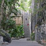 <a href='https://www.fodors.com/world/caribbean/bahamas/experiences/news/photos/20-ultimate-things-to-do-in-the-bahamas#'>From &quot;25 Ultimate Things to Do in the Bahamas: Ascend and Descend the Queen’s Staircase&quot;</a>