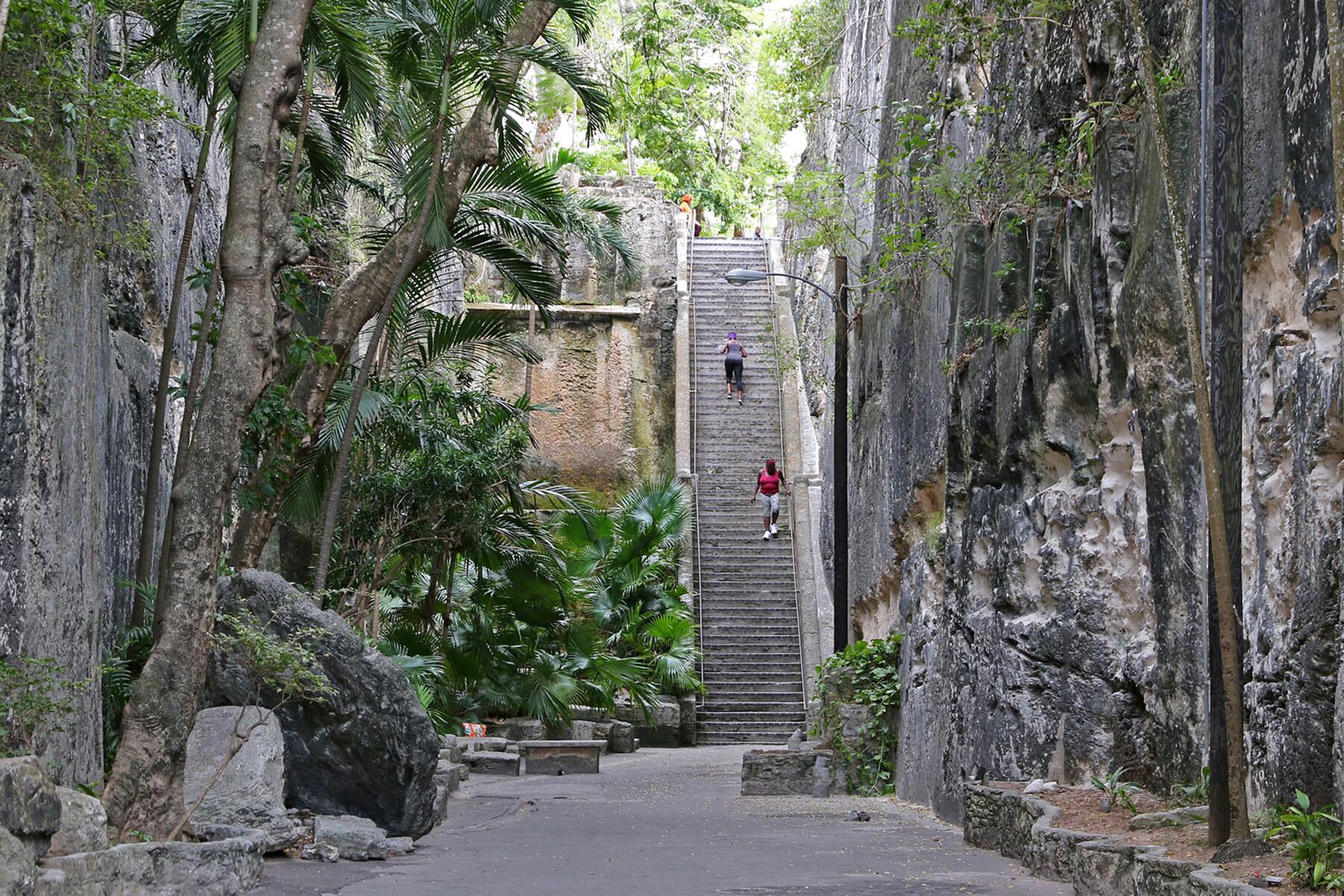 <a href='https://www.fodors.com/world/caribbean/bahamas/experiences/news/photos/20-ultimate-things-to-do-in-the-bahamas#'>From &quot;25 Ultimate Things to Do in the Bahamas: Ascend and Descend the Queen’s Staircase&quot;</a>