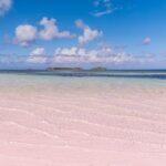 <a href='https://www.fodors.com/world/caribbean/bahamas/experiences/news/photos/20-ultimate-things-to-do-in-the-bahamas#'>From &quot;25 Ultimate Things to Do in the Bahamas: Walk On Picturesque Pink Sand&quot;</a>