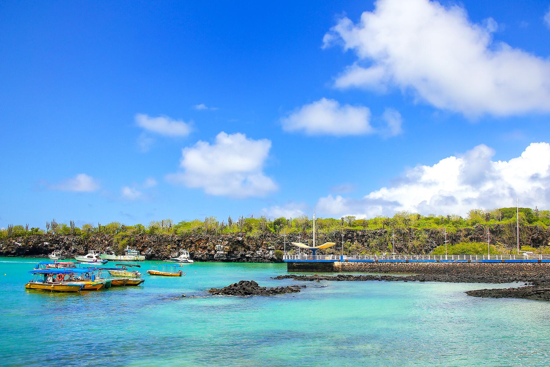 1-dreamstime-109631388