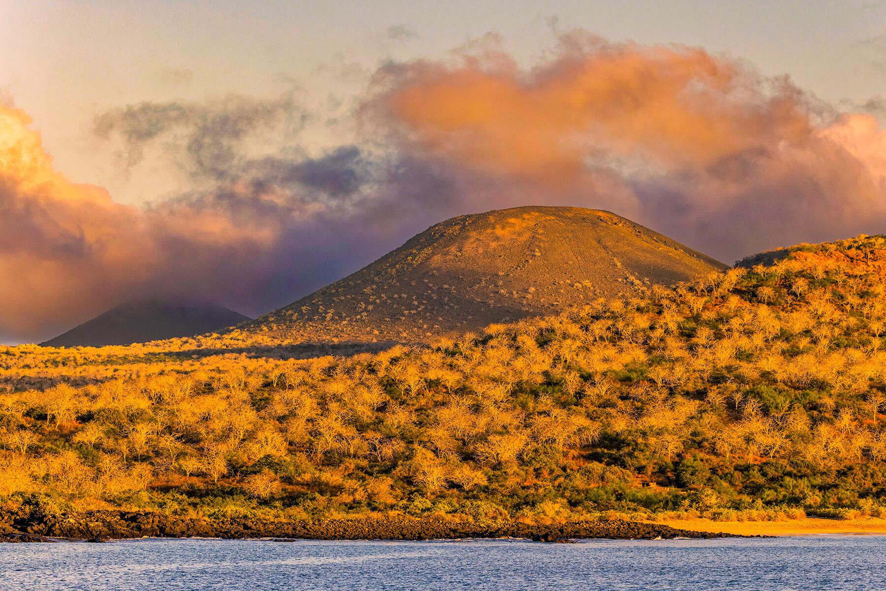 2-shutterstock-2216602051