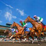 <a href='https://www.fodors.com/world/north-america/usa/kentucky/experiences/news/photos/if-you-love-horses-you-cant-miss-this-kentucky-destination#'>From &quot;8 Can't-Miss Things to Do in Kentucky Derby Country&quot;</a>